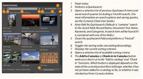 id_records_panel.jpg id_records_panel.jpg