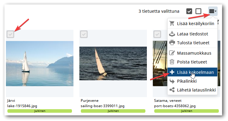 tietueet_lisaa_kokoelmaan.png tietueet_lisaa_kokoelmaan.png